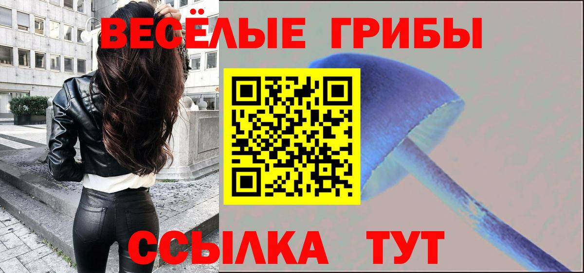 Гусев  Галлюциногенные грибы Cubensis  Вход с VPN 