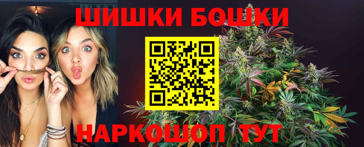 Конопля планчик Гусев